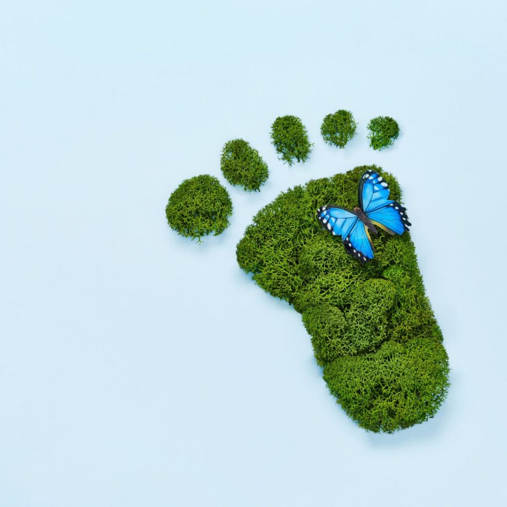sustainability and cruelty free environmentally friendly